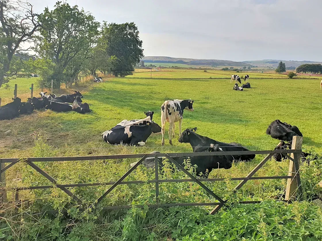 Collierhall Farm site view